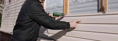 Best Wood Siding Installation  in Caledonia, MN